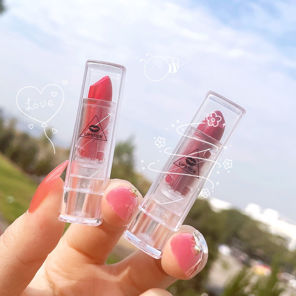 Transparent Shell Matte Lipstick — 10 Shades for Every Mood